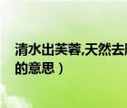 清水出芙蓉,天然去雕饰什么意思?（清水出芙蓉天然去雕饰的意思）