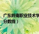 广东岭南职业技术学院分数线2015（广东岭南职业技术学院分数线）