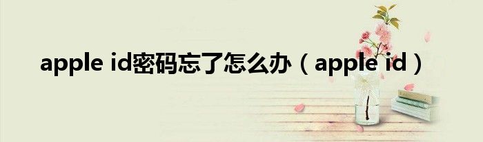 apple id密码忘了怎么办（apple id）