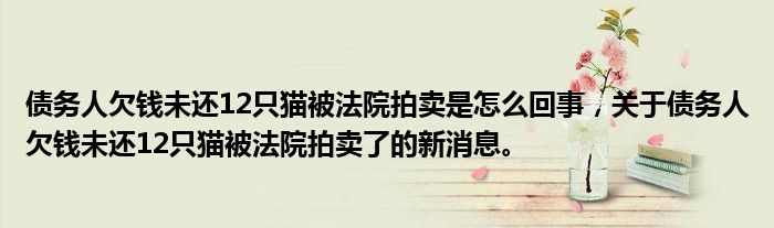 债务人欠钱未还12只猫被法院拍卖是怎么回事，关于债务人欠钱未还12只猫被法院拍卖了的新消息。