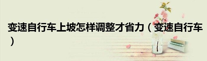 变速自行车上坡怎样调整才省力（变速自行车）
