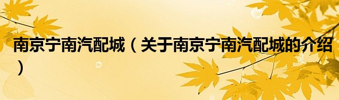 南京宁南汽配城（关于南京宁南汽配城的介绍）