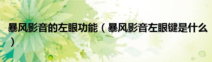 暴风影音的左眼功能（暴风影音左眼键是什么）