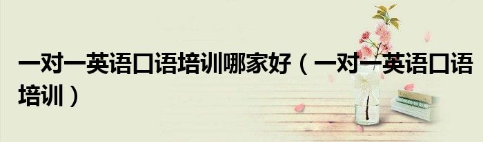 一对一英语口语培训哪家好（一对一英语口语培训）