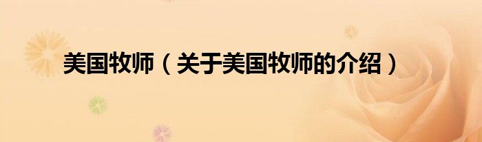 美国牧师（关于美国牧师的介绍）