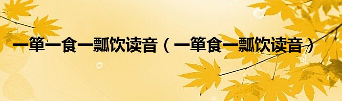 一箪一食一瓢饮读音（一箪食一瓢饮读音）