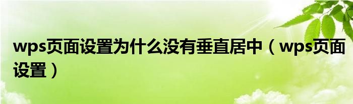 wps页面设置为什么没有垂直居中（wps页面设置）