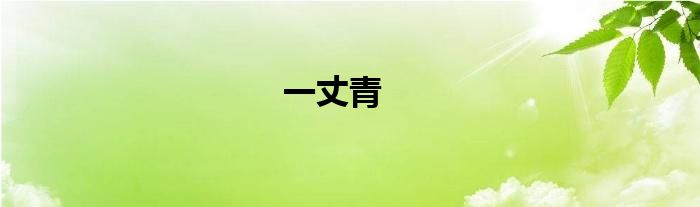 一丈青