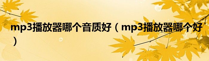 mp3播放器哪个音质好（mp3播放器哪个好）