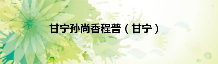 甘宁孙尚香程普（甘宁）