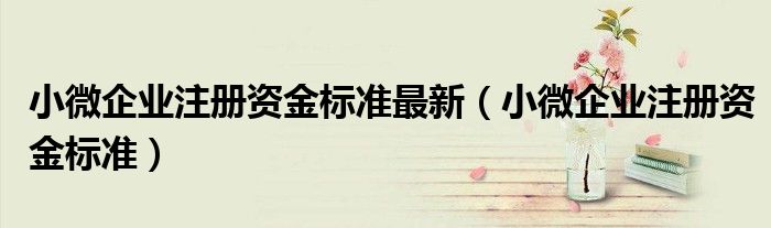 小微企业注册资金标准最新（小微企业注册资金标准）