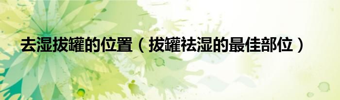 去湿拔罐的位置（拔罐祛湿的最佳部位）