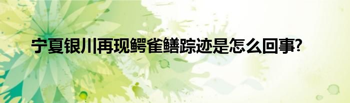 宁夏银川再现鳄雀鳝踪迹是怎么回事?