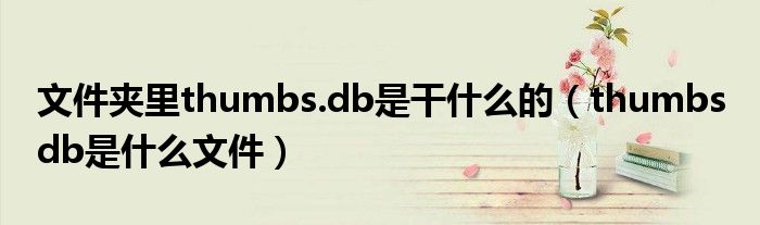 文件夹里thumbs.db是干什么的（thumbs db是什么文件）
