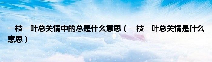 一枝一叶总关情中的总是什么意思（一枝一叶总关情是什么意思）