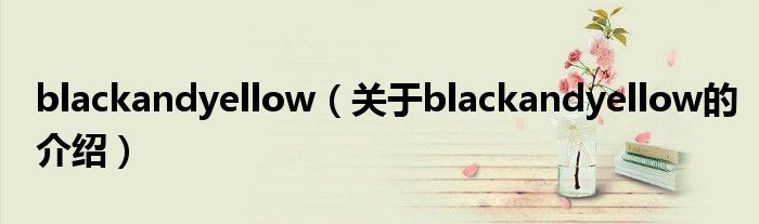 blackandyellow（关于blackandyellow的介绍）