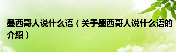 墨西哥人说什么语（关于墨西哥人说什么语的介绍）