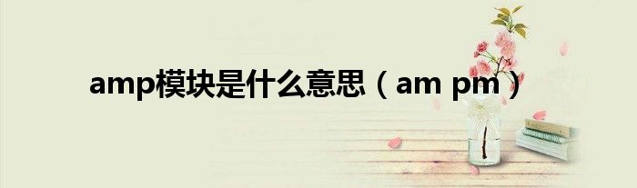 amp模块是什么意思（am pm）