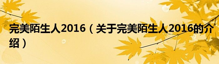 完美陌生人2016（关于完美陌生人2016的介绍）