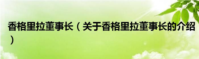 香格里拉董事长（关于香格里拉董事长的介绍）