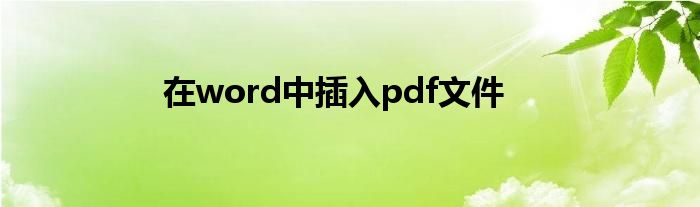 在word中插入pdf文件
