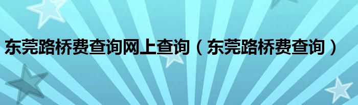 东莞路桥费查询网上查询（东莞路桥费查询）