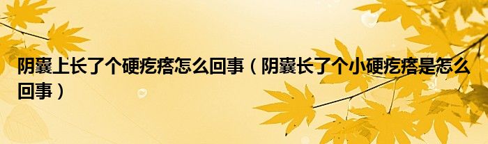 阴囊上长了个硬疙瘩怎么回事（阴囊长了个小硬疙瘩是怎么回事）