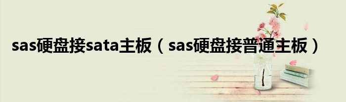 sas硬盘接sata主板（sas硬盘接普通主板）