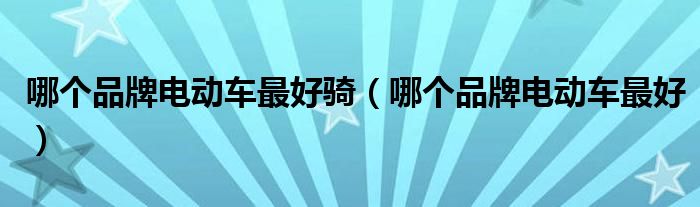 哪个品牌电动车最好骑（哪个品牌电动车最好）