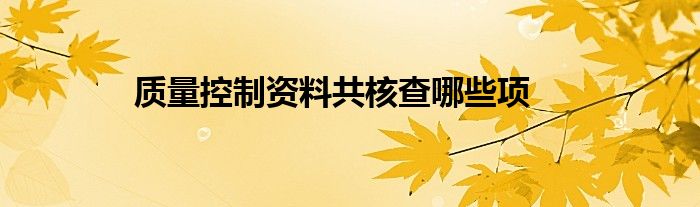 质量控制资料共核查哪些项