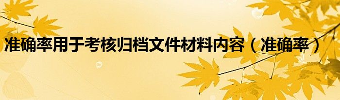 准确率用于考核归档文件材料内容（准确率）