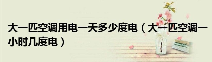 大一匹空调用电一天多少度电（大一匹空调一小时几度电）