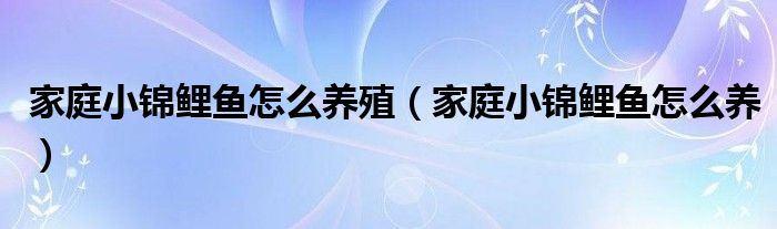 家庭小锦鲤鱼怎么养殖（家庭小锦鲤鱼怎么养）