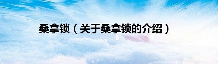 桑拿锁（关于桑拿锁的介绍）