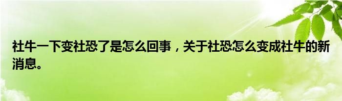 社牛一下变社恐了是怎么回事，关于社恐怎么变成社牛的新消息。