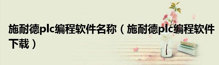 施耐德plc编程软件名称（施耐德plc编程软件下载）