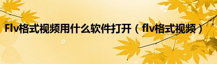Flv格式视频用什么软件打开（flv格式视频）