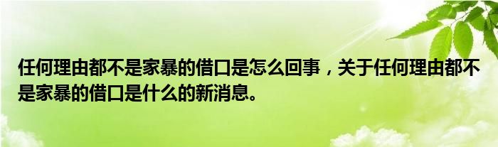 任何理由都不是家暴的借口是怎么回事，关于任何理由都不是家暴的借口是什么的新消息。