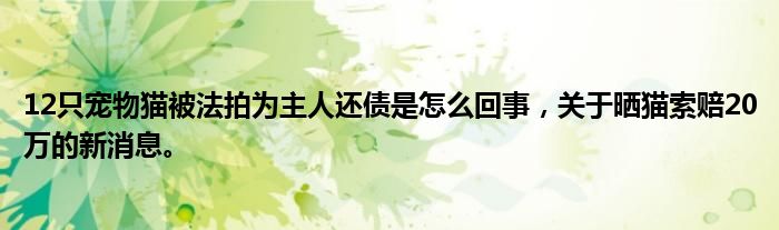 12只宠物猫被法拍为主人还债是怎么回事，关于晒猫索赔20万的新消息。