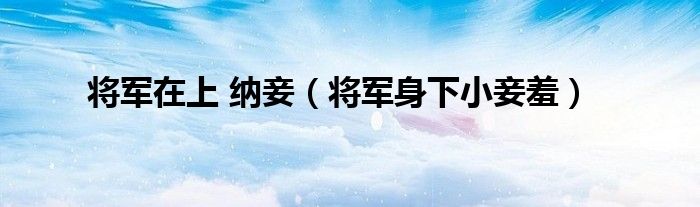 将军在上 纳妾（将军身下小妾羞）