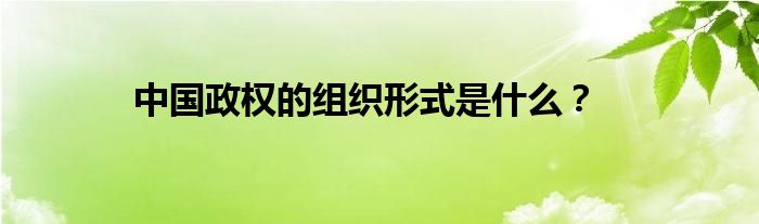 中国政权的组织形式是什么？