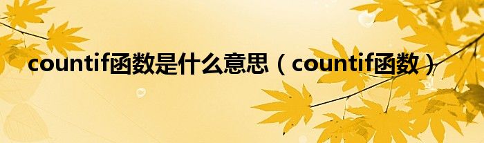 countif函数是什么意思（countif函数）