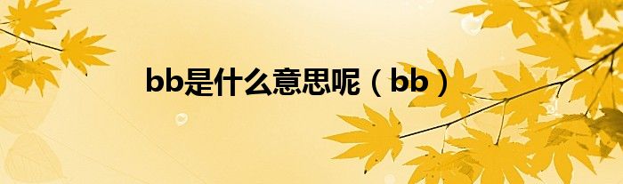 bb是什么意思呢（bb）