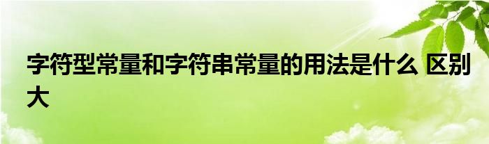字符型常量和字符串常量的用法是什么 区别大