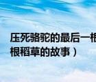 压死骆驼的最后一根稻草的故事是什么（压死骆驼的最后一根稻草的故事）