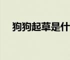 狗狗起草是什么意思（起草是什么意思）