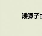 矮骡子由来（什么叫矮骡子）