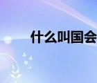 什么叫国会山（国会山是什么意思）
