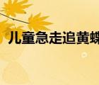 儿童急走追黄蝶飞入菜花无处寻是哪一首诗