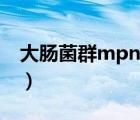 大肠菌群mpn是什么意思（mpn是什么意思）